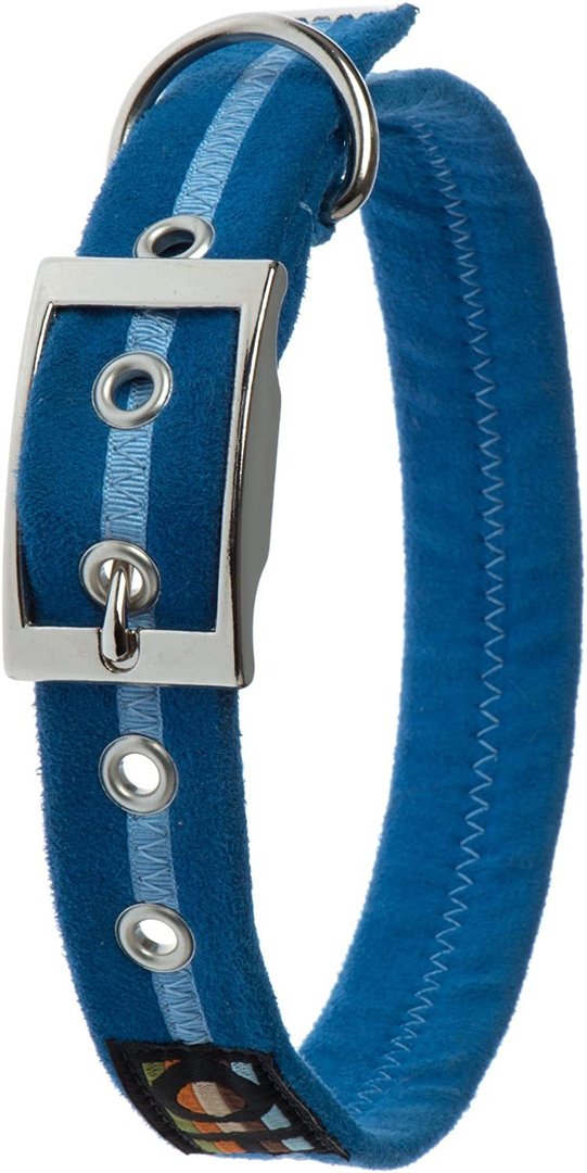 Oscar & Hooch Royal Blue Dog Collar Size L (41-51cm) RRP £16.99 CLEARANCE XL £9.99